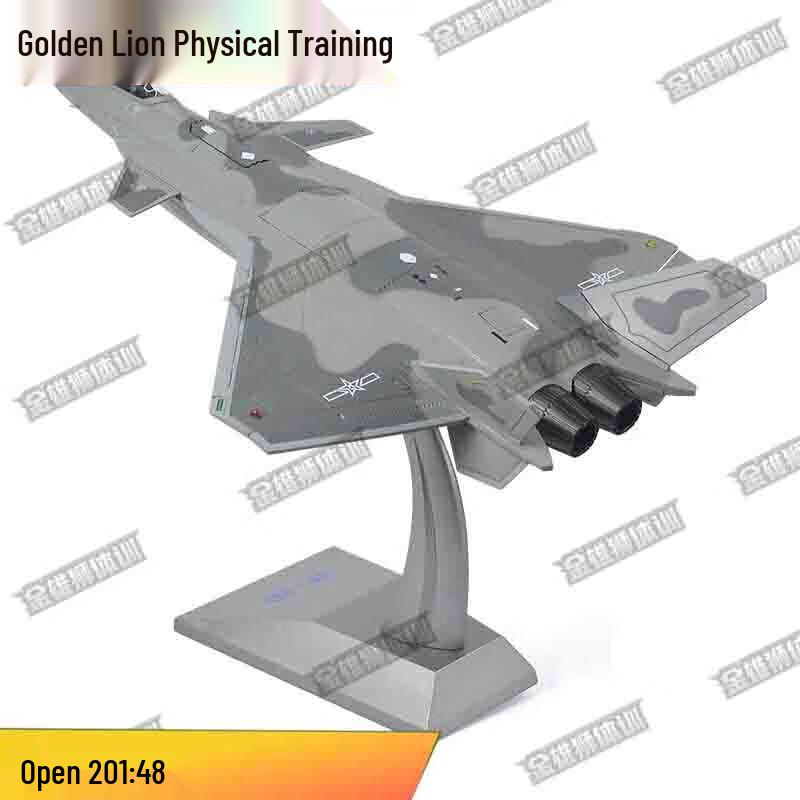 Jin Xionglei Military Collectible Models