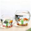 Large Round Glass Fish & Turtle Tank with Mini Hydroponic Planter