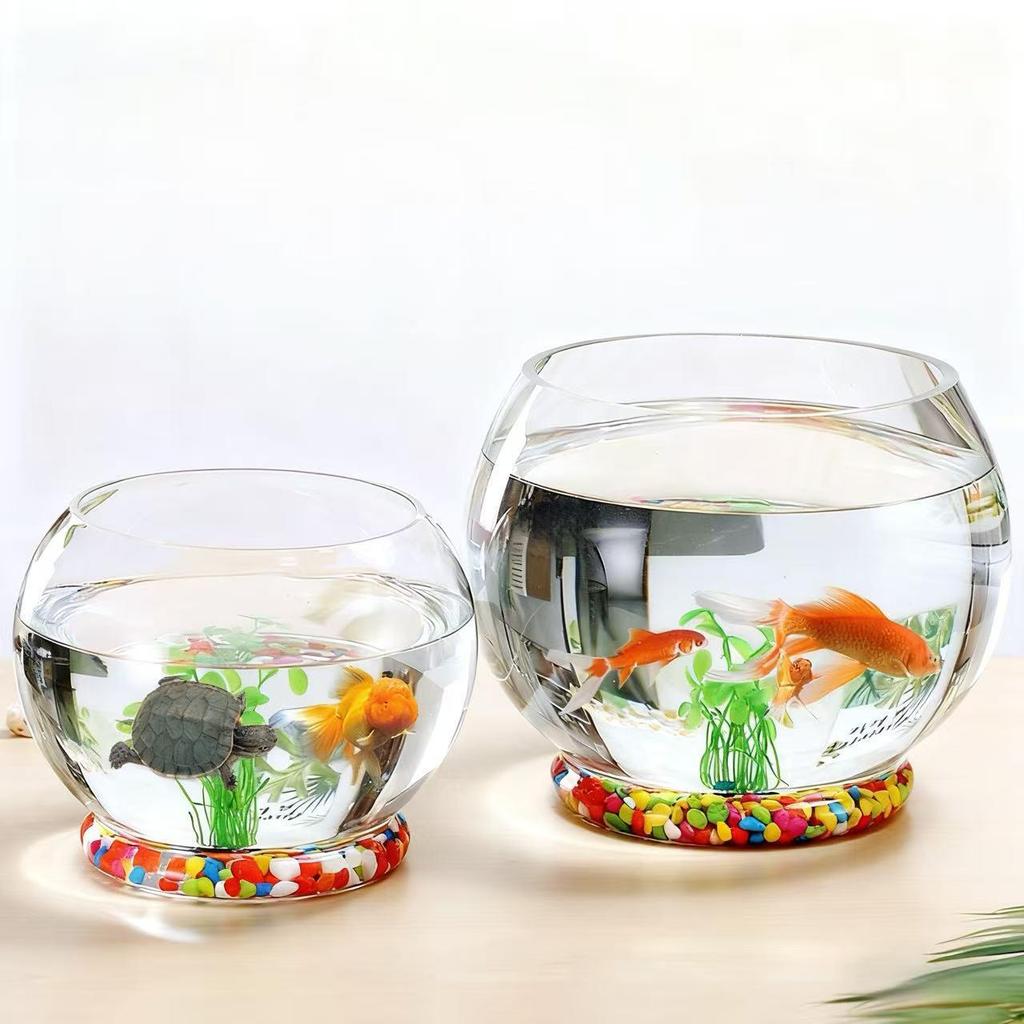 Large Round Glass Fish & Turtle Tank with Mini Hydroponic Planter