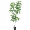 Artificial Pachira Plant In A Pot, Realistic, 60Cm, Beautiful Bush