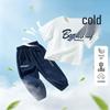 Beibeiyi Boys' Summer Cooling T-Shirt & Anti-Mosquito Pants Set