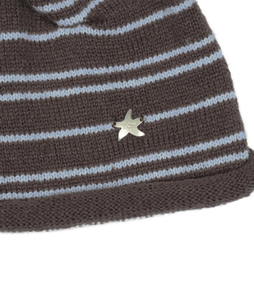 THE COLDEST MOMENT Tcm Stripe Bottle Beanie (Brown/Blue)