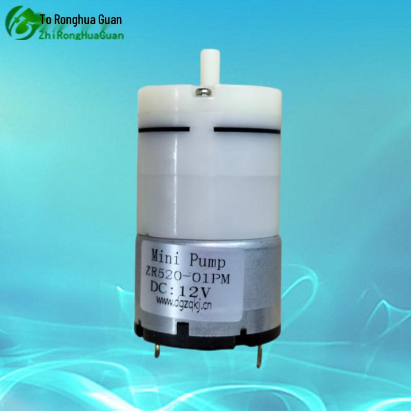 Silent Miniature Air Pump: Booster 6V, 520-01PM 12V, 24V Inflation Pump