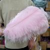 Wholesale Golden Ostrich Feathers Big 15-60CM Ostrich Plume for Wedding Party Home Decor Table Centerpieces Carnival DIY Crafts