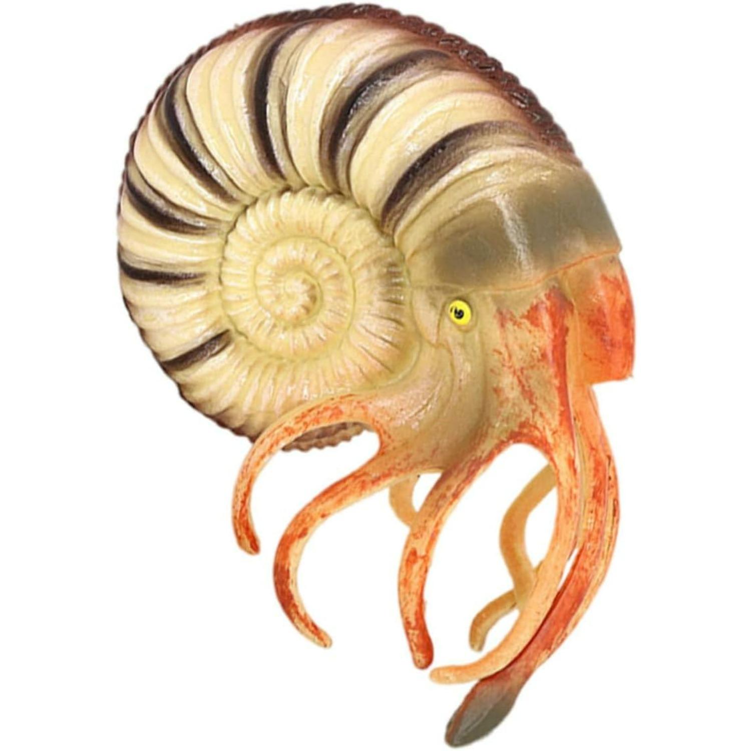 

Lifelike Nautilus Model Animal Ornament Educational for Realistic Shell Design with Fine Details Stable Desktop Display Ancient Sea Creature p1
