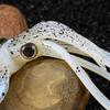Lifelike Design Squid Fishing Bait Soft Material PVC Swimbait 2026 Fishing Lure  Fishing