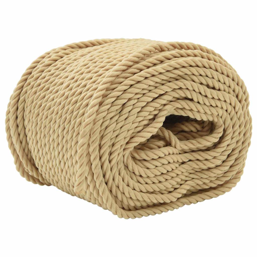 Boat Rope 25 m 0.3 cm Natural PP