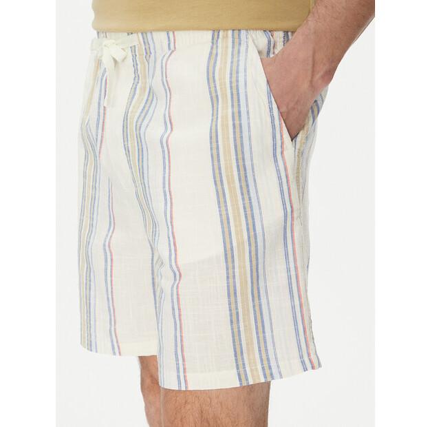 Tommy Jeans Shorts DM0DM21948
