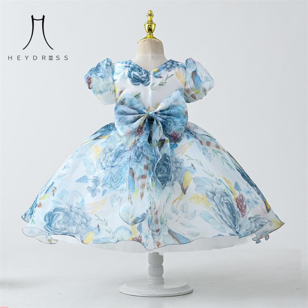 Dívčí šaty Léto Dětské oblečení Nové Šifonové Dívčí Show Kostým Krátký rukáv Tištěné Dětské Princeznovské šaty