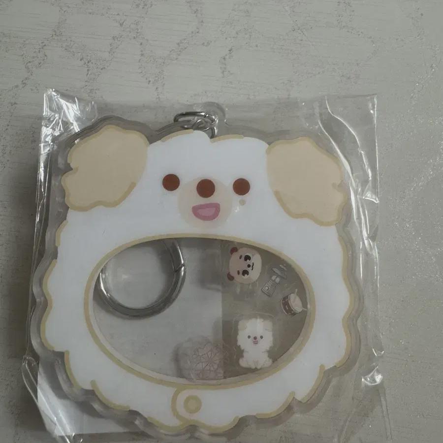 DAY6 Fan Fanmeeting Official Md Petitmle's Shaker Keyring Don