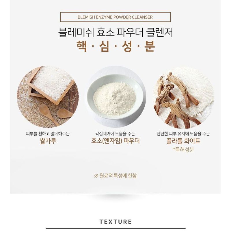 papa recipe - Blemish Enzyme Powder Cleanser