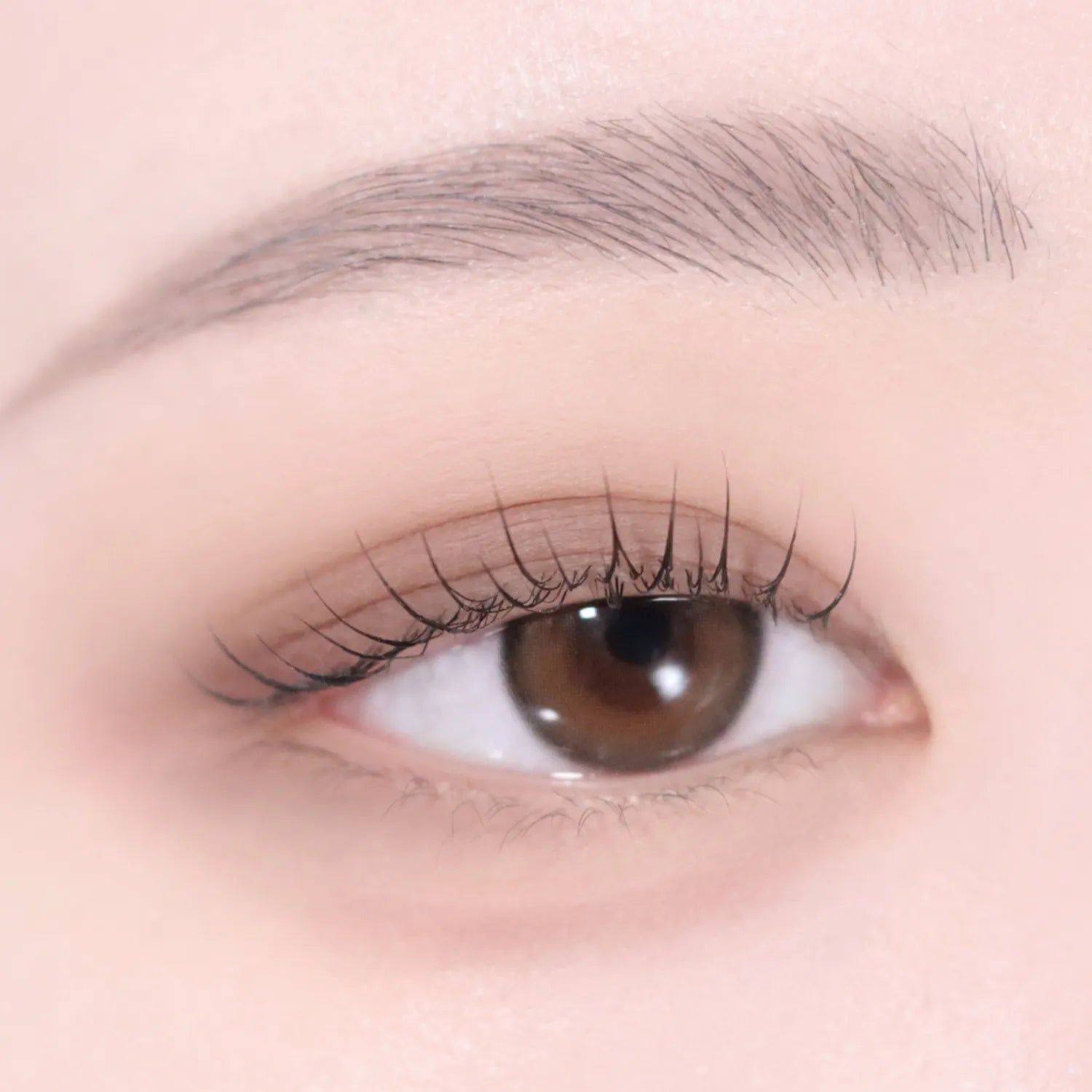 

VDL Eyestain Essential Shadow Duo 06 Timeless Gray