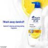 Head & Shoulders Lemon Fresh Anti-Dandruff Shampoo