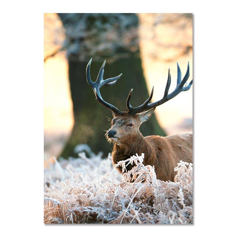 Minimalist Modern Nordic Wall Art Mood Poster Beige Winter Forest Wooden House Painting Wall Pictures for Living Room Decor