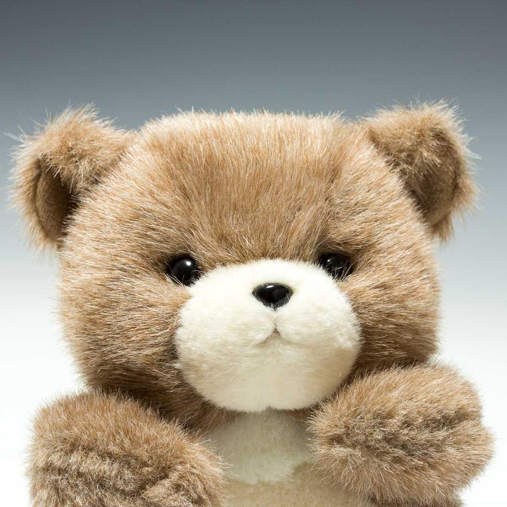 Forest friend (S) bear brown