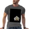 Reblooming Tshirt Cotton T Shirt Unisex Anime T Shirts Oversize Unisex T Shirt Cotton Tshirt