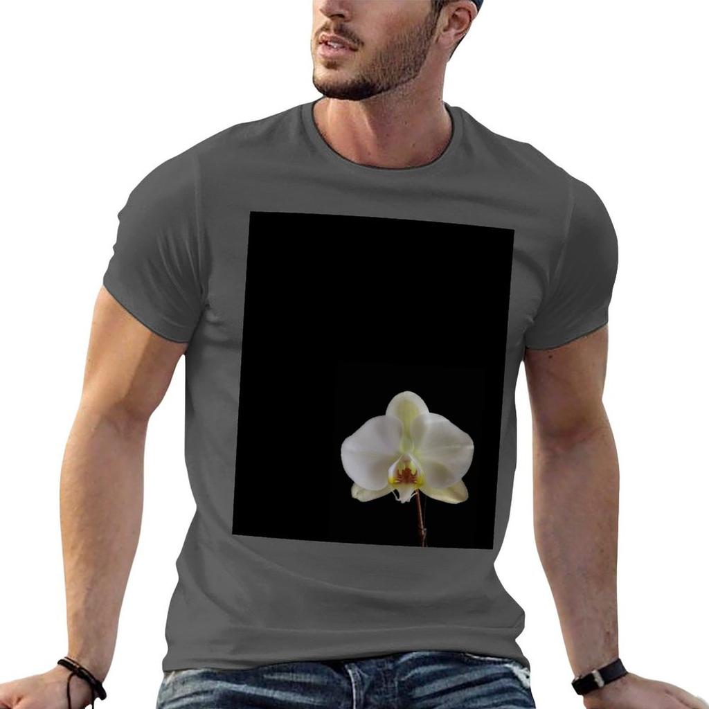 Reblooming Tshirt Cotton T Shirt Unisex Anime T Shirts Oversize Unisex T Shirt Cotton Tshirt