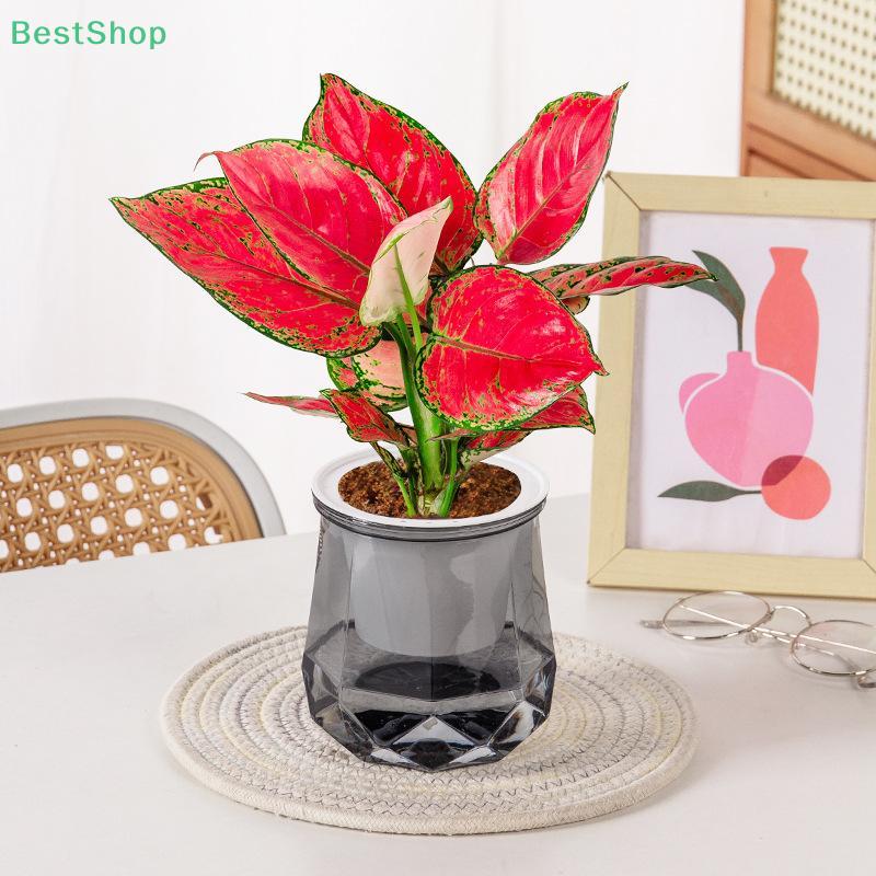 Kunststoff Selbstbewässernder Blumentopf Transparent Pflanztopf Heim Tischplatte Blumentopf Heim Bonsai Deko Moderne Deko