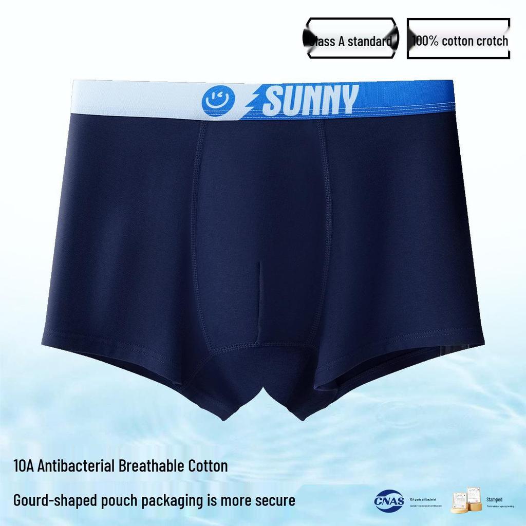 Men's Plus Size 100% Cotton Antibacterial Boxer Briefs