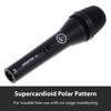 AKG P5 S Supercardioid Vocal Microphone with Switch