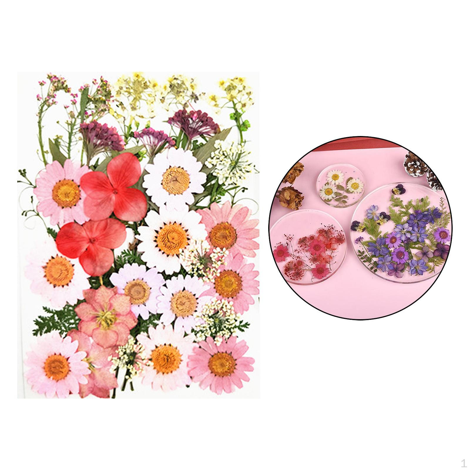 Mixed Dried Pressed Flowers for Wedding Invitations, Envelopes, Bookmarks, Table Decorations,