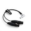 ZBLZGP Audio Breakout Input Cable, 10-pin to Dual 3-pin XLR Female, for Atomos Shogun Flame Monitor Recorder (Elbow Plug Cable)