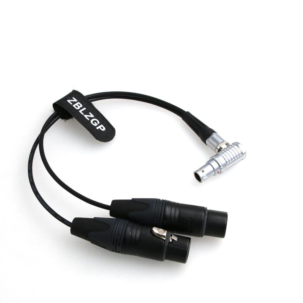 ZBLZGP Audio Breakout Input Cable, 10-pin to Dual 3-pin XLR Female, for Atomos Shogun Flame Monitor Recorder (Elbow Plug Cable)