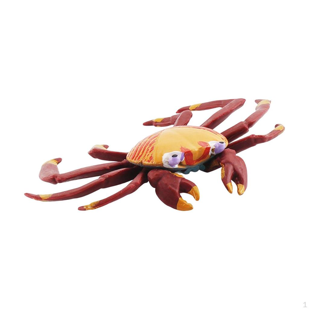 Hand Painted Mini Crab Figurines Model Realistic Detailed Action Figures for Children Kids