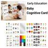 Double Sided Sight Words Cards Creative Digital Animal Card Cognitive Development