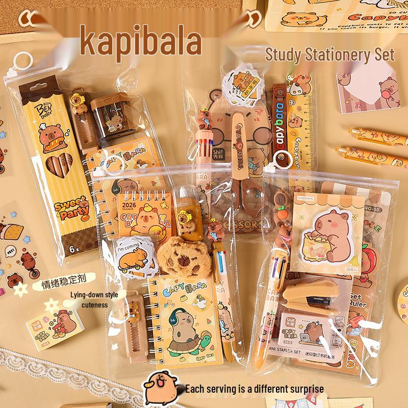 Wasserschwein-Briefpapier-Set: Süßes Schulgeschenkpaket für Kinder