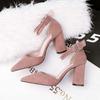 Spring and Autumn Fashion Coarse Heel Women's Shoes Warm Velvet Outdoor Versatile One-word Buckle Belt Royal Sister Pointed High Heels Women's Single