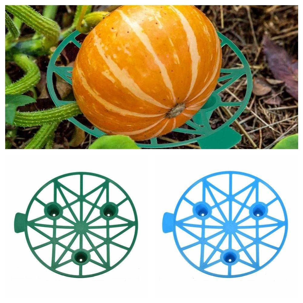 

Стабильная арбузная стойка Арбузная подставка против гниения Прочный держатель арбуза Теплица