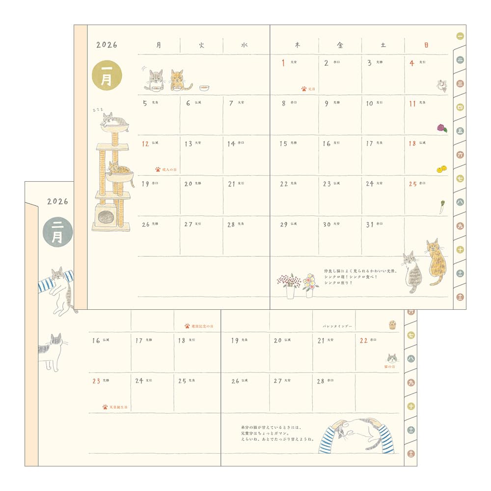 Midori Pocket Diary, 2026, B6, Weekly, Cat Pattern, 22373006 (Starts January 2026)