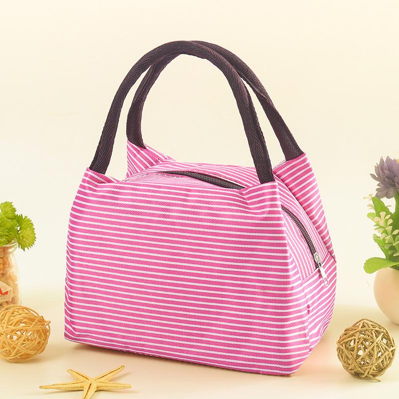 Insulated Lunch Tote for Students and Office Workers