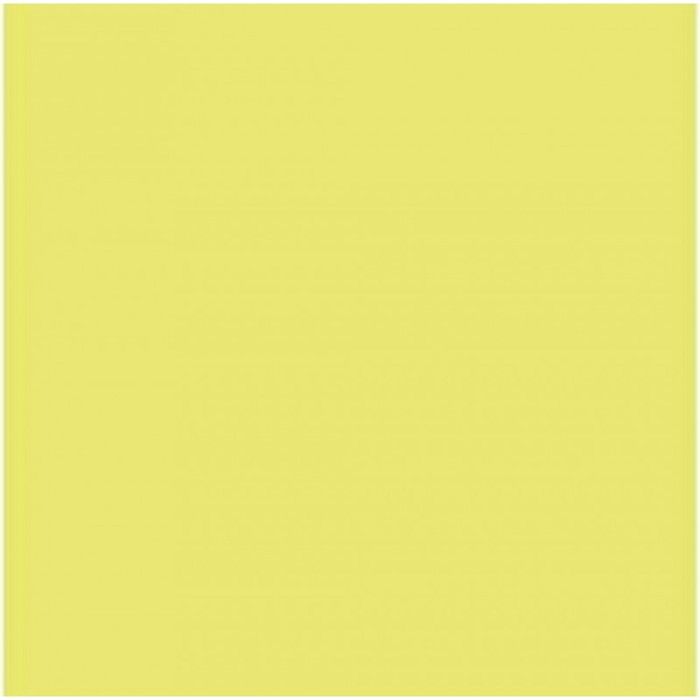 NC Papier Carton Iris Kiwi 50 X 65 Cm (25 Unités)