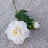 1Pc  Artificial Flower Realistic Easy Care 2-head No Fade Peony Fake Flower for Wedding