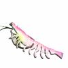 9.5cm Length TPE Shrimp Fishing Lures 10g Weight Artificial Shrimp Design Prawn Artificial Bait Pre-rigged Hooks