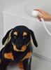 Gaona Korekamo Shower Head for Pets and Babies (Compact, Adjustable Flow Rate, Two-Level Switch, Easy to Hold for Women) GA-FC025