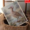 DIY 3D Pearl Diamond Painting Art Set Elegant Bird Floral Landscape Home Decor Art Set Wall Art