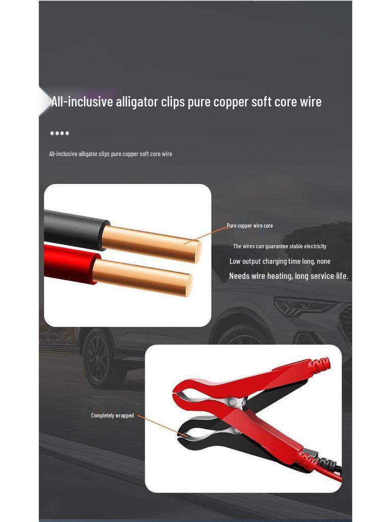 12V Smart-Impulsladegerät für Auto- und Motorrad-Lithiumbatterien