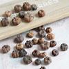 15pcs Dried Vegetables Dried Mini Pumpkins Dried Fruit Halloween Mini Pumpkins  Party Decoration