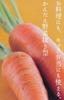Kai Corporation KAI Stainless Steel Vegetable Cutter Set (Flower Shape, 4 Pieces) Kai House Select Made In Japan DH7126