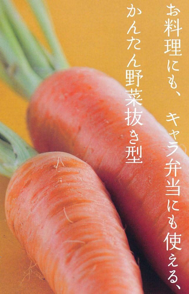 Kai Corporation KAI Stainless Steel Vegetable Cutter Set (Flower Shape, 4 Pieces) Kai House Select Made In Japan DH7126