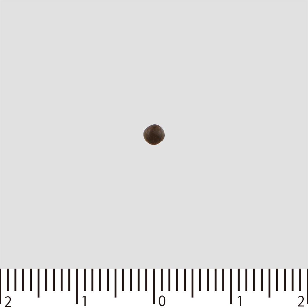 Kyushin Pharmaceutical Rokushin-gan Kenshu Hori R 54 Capsules Cardiac Stimulant Cardiac Stimulant Efficacy: Palpitations, Shortness of Breath, Invigor