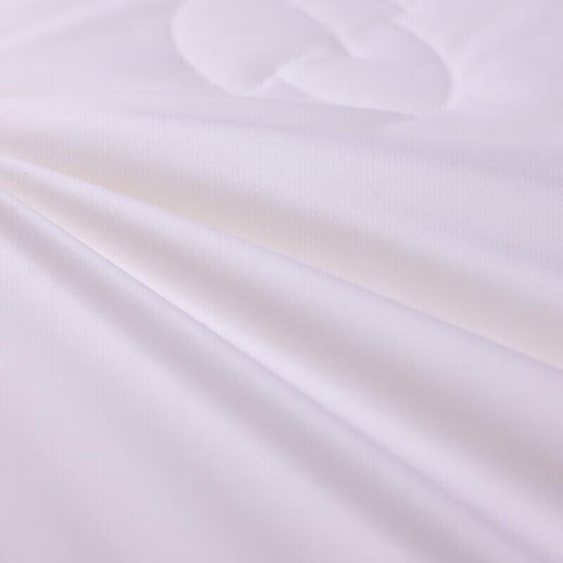 Fuanna Yameng All-Season Cotton Cover Silk Quilt