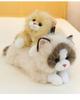Lucky Cat Plush Toy - Cute Companion Doll for Girls, Perfect Birthday Gift & Ornament