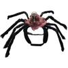 Spider and Skull Costume for Small to Medium Pets