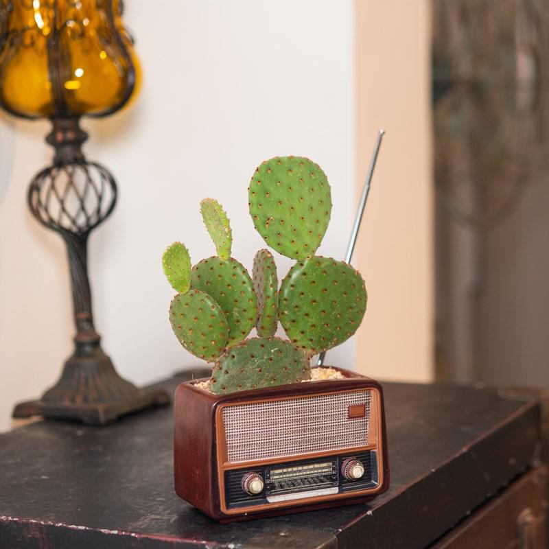 Blumentopf in Retro-Radioform – Kreatives Kunstharzhandwerk für die Inneneinrichtung