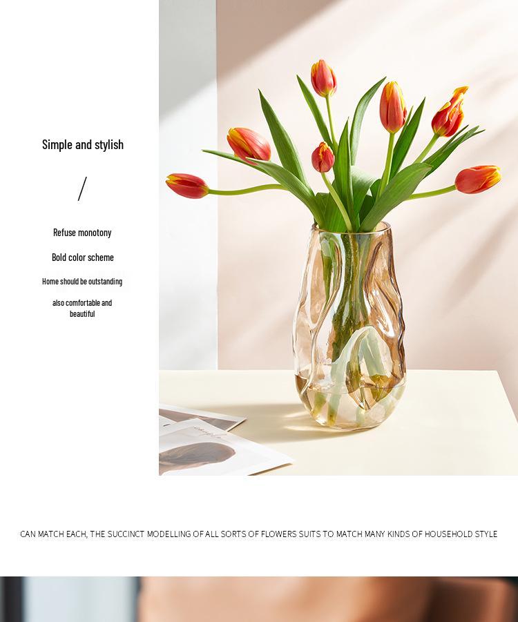 Nordic Style Irregular Glass Vase for Desktop Hydroponics