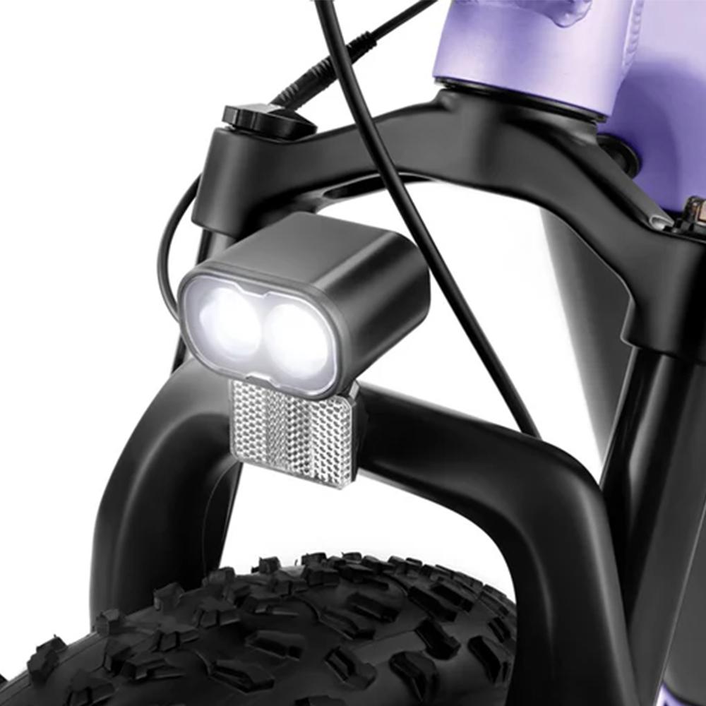 FREEDARE Eden Electric Bike Adults with Front Basket and GPS Smart App Control ,48V 20Ah Battery,Torque Sensor